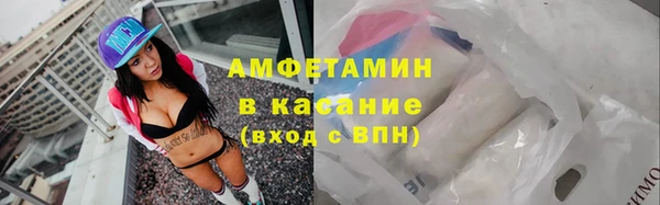 твердый Богданович