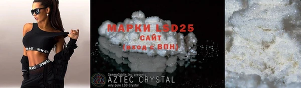 ECSTASY Богородицк