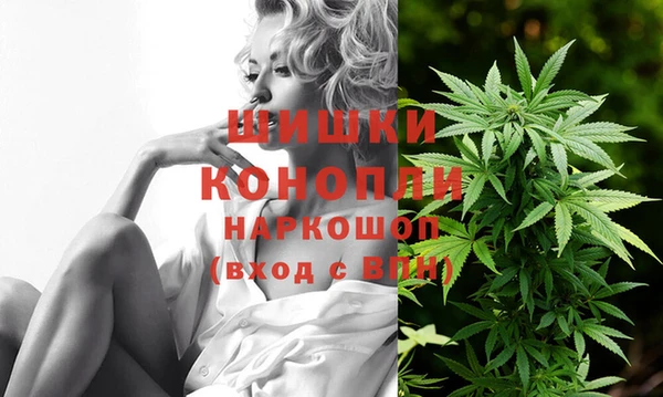 твердый Богданович