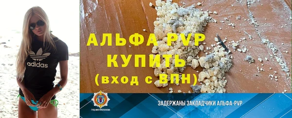 ECSTASY Богородицк