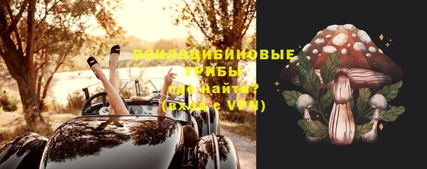 МДПВ Бронницы